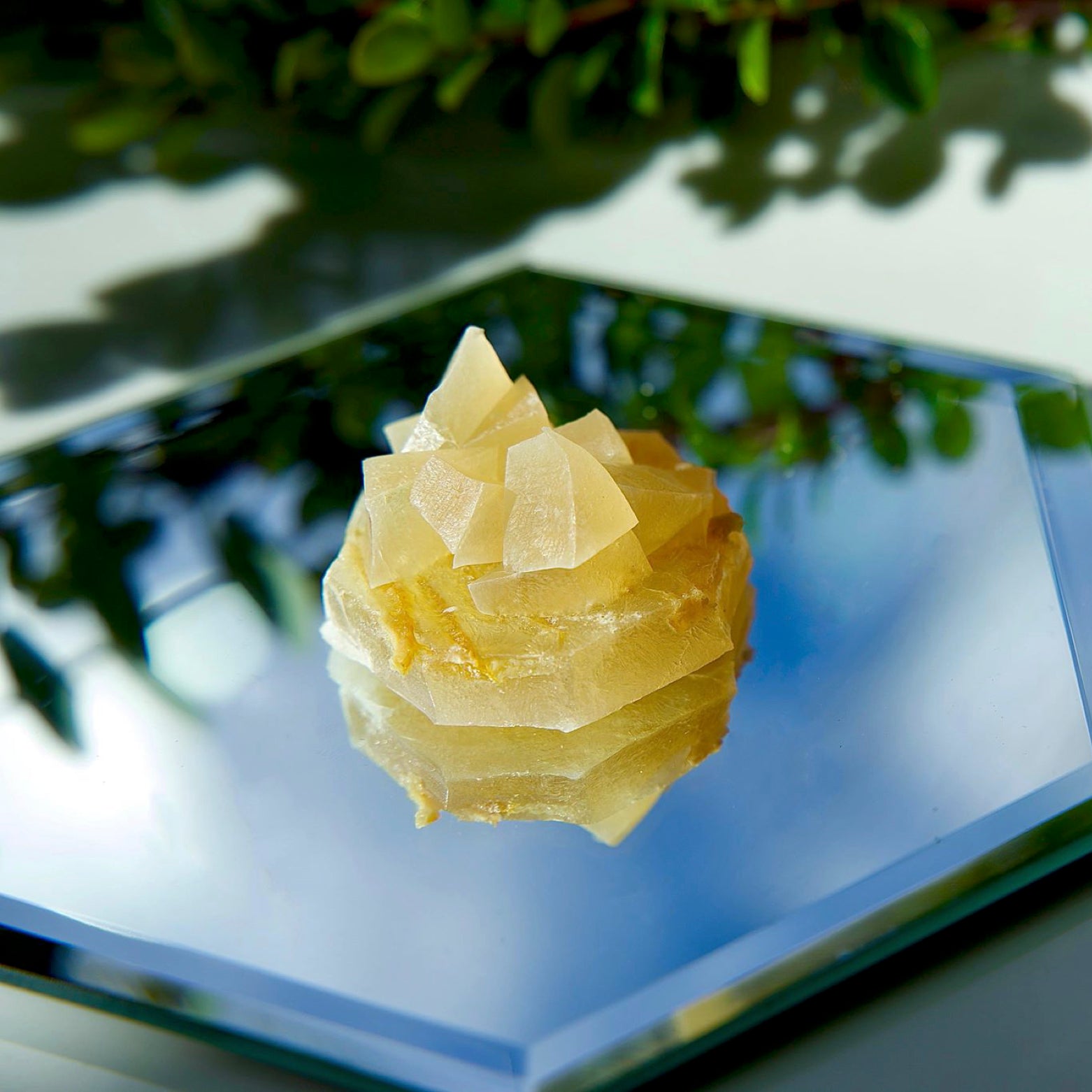 A picture of Yuzu flavor Crystal Treats
