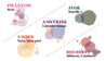 The image of flavor card for Gem box, it includes Rose, Yuzu, Lavender mango, Matcha, Hibiscus cranberry